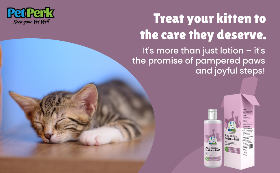 Anti-fungal Lotion for Paw Cat (100 ml / Piece)
