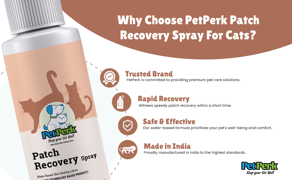 Patch Recovery Spray for Cat (100 ml / Piece)