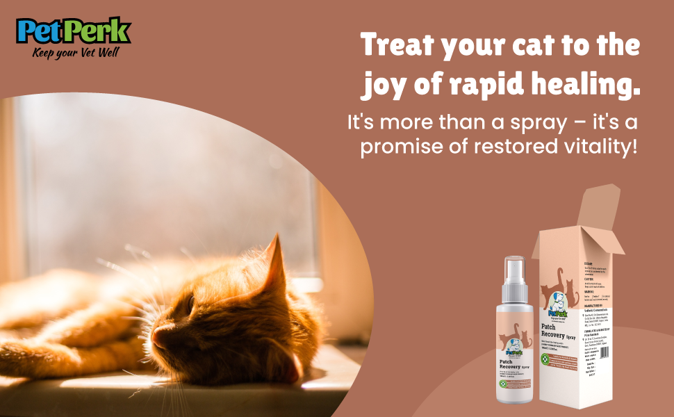 Patch Recovery Spray for Cat (100 ml / Piece)