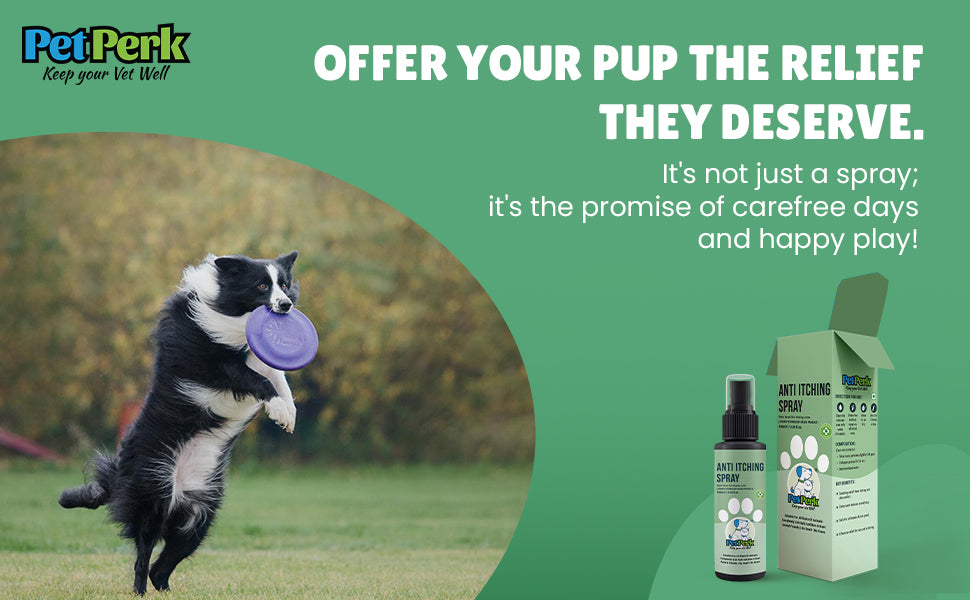 Anti-Itching Spray for Dog