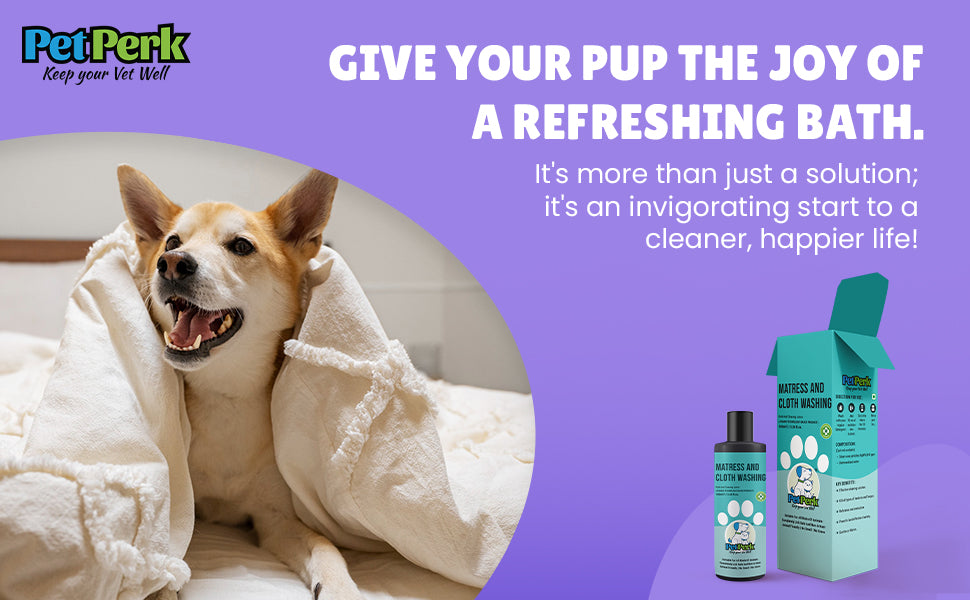 Mattress and Cloth Washing For Dogs | 100 ml, 1 Piece