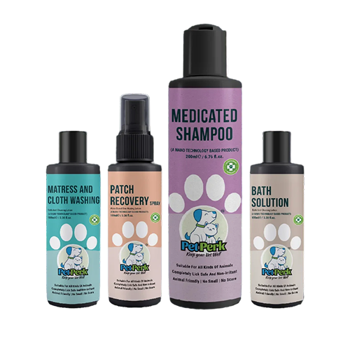 Patch Recovery Kit For Dogs