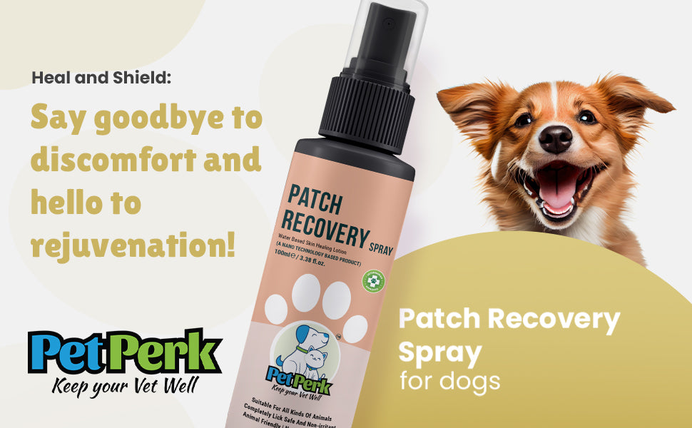 Patch Recovery Spray for Dog (100 ml / Piece)
