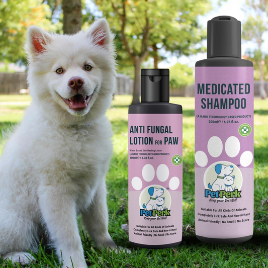 Anti Fungal Paw Saver Kit for Dogs