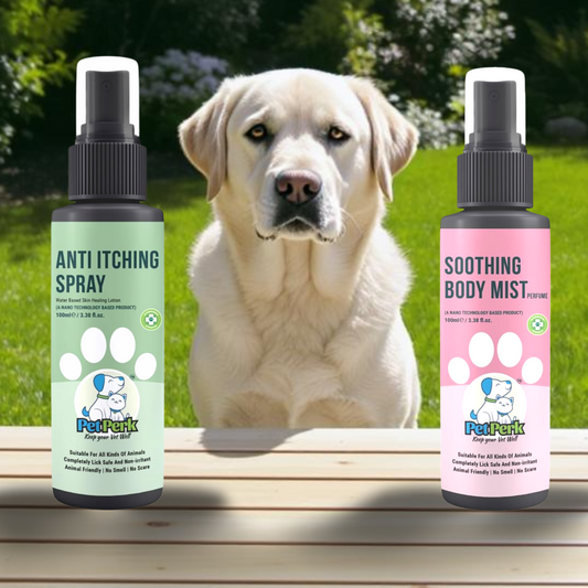 Brave & Bold Kit for Dogs