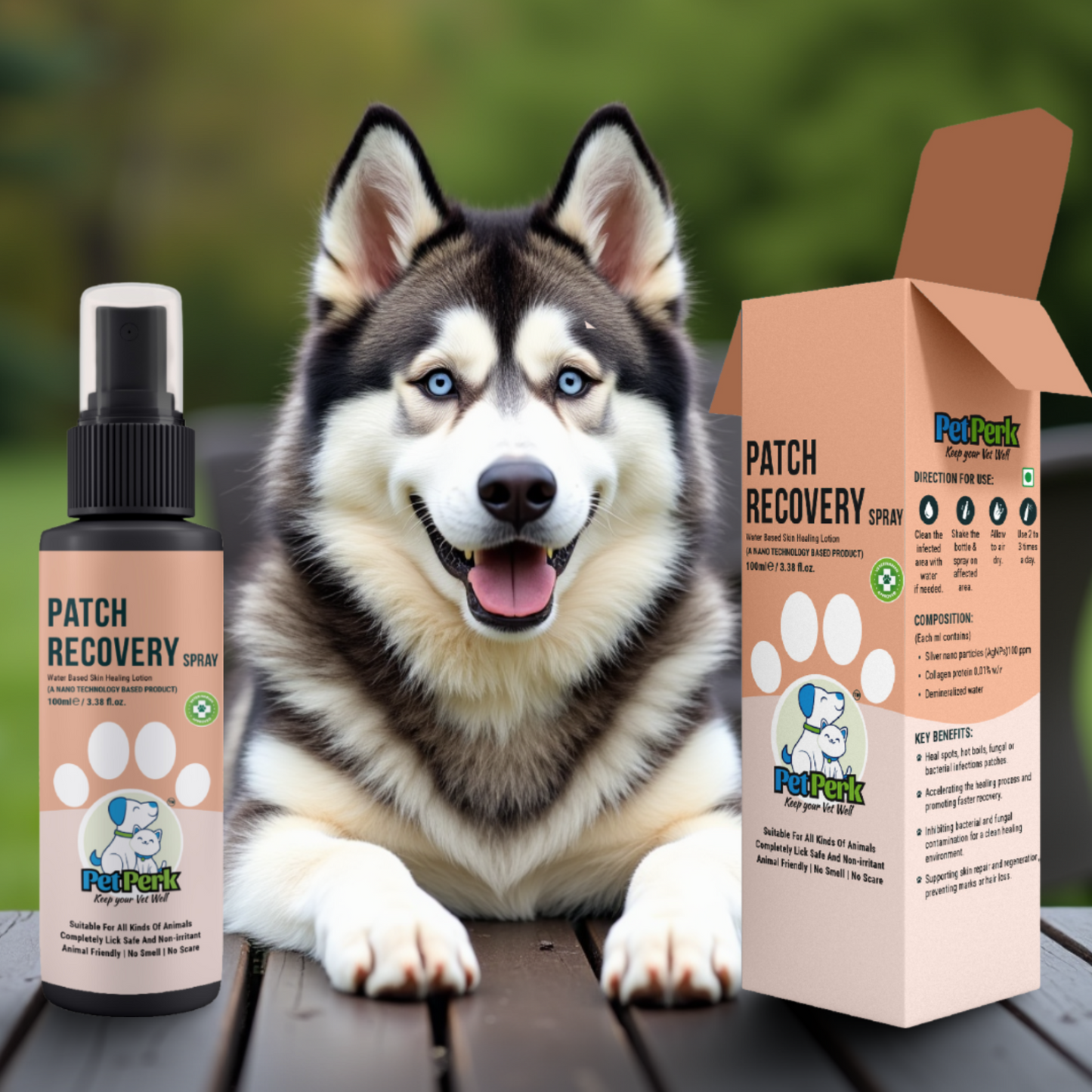 Patch Recovery Kit For Dogs