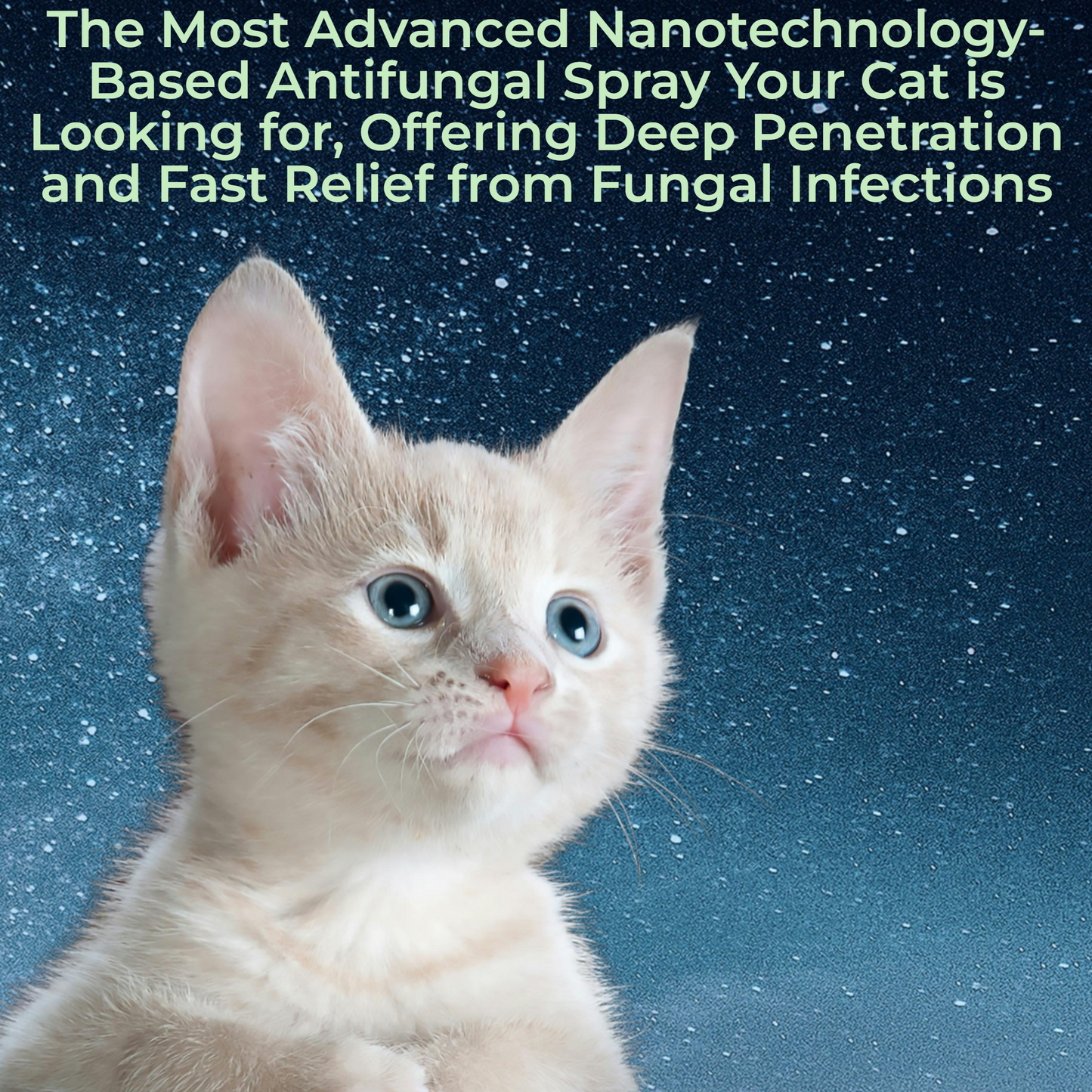 Anti-Fungal Spray for Cat