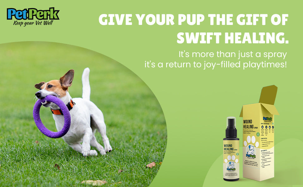 Wound Healing Spray for Dog