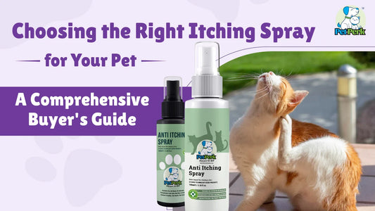 Choosing the Right Itching Spray for Your Pet: A Comprehensive Buyer’s Guide