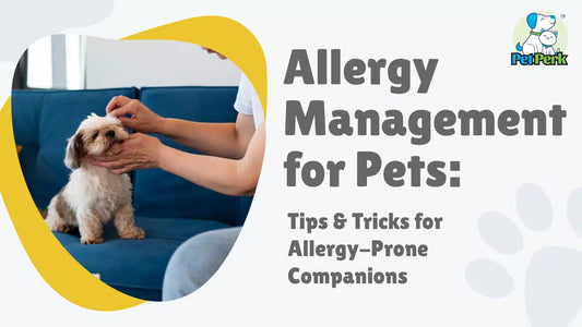 Allergy Management for Pets: Tips & Tricks for Allergy-Prone Companions