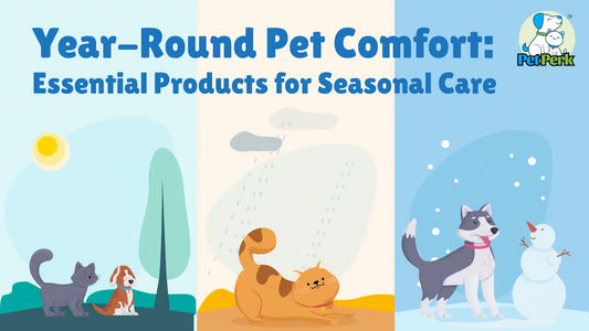 Year-Round Pet Comfort: Essential Products for Seasonal Care