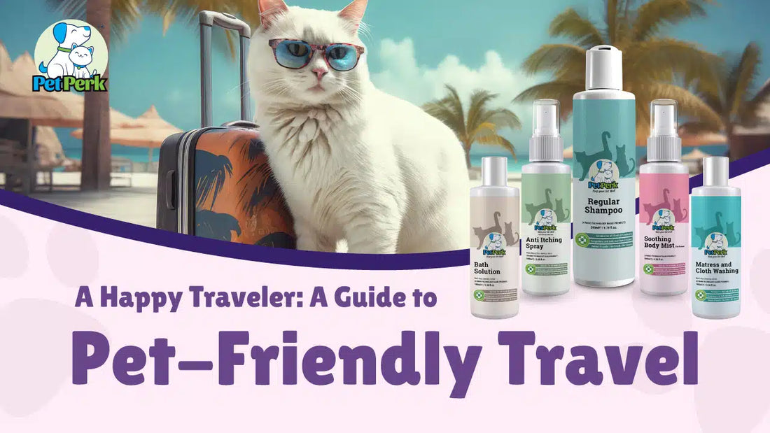 A Happy Traveler: A Guide to Pet-Friendly Travel