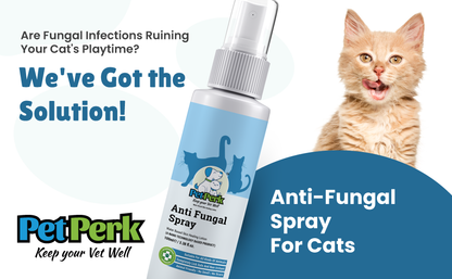 Anti-Fungal Spray for Cat (100 ml / Piece)