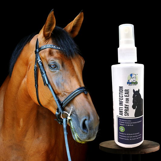 Anti Ear Infection Spray for Horse