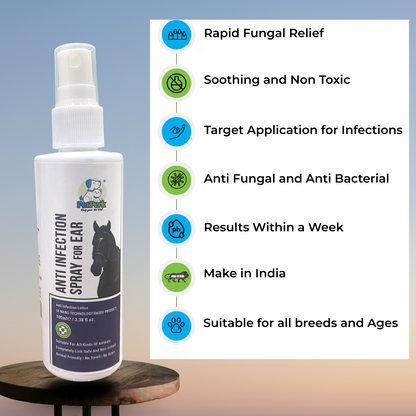 Anti Ear Infection Spray for Horse