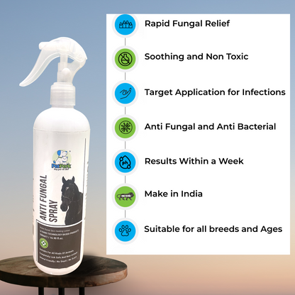 Anti Fungal Spray for Horse (500 ml)