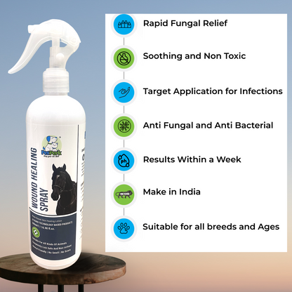 Wound Healing Spray for Horse