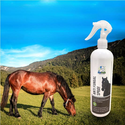 Anti Fungal Spray for Horse (500 ml)