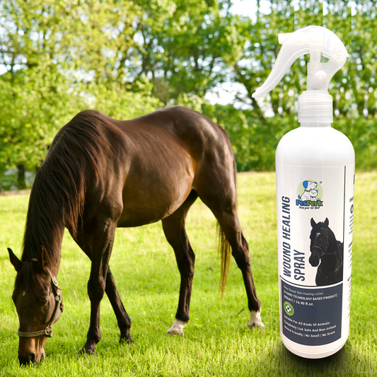 Wound Healing Spray for Horse
