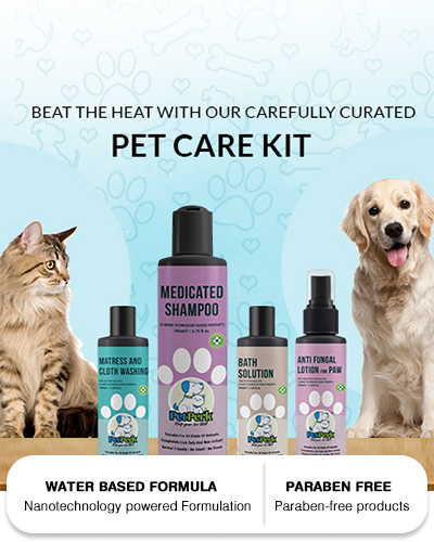 Dog care products online 2025