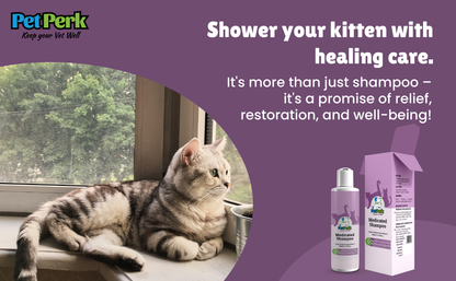 Medicated Antifungal Shampoo for Cat (100 ml / Piece)