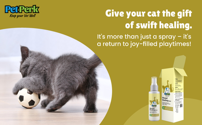 Wound Healing Spray for Cat (100 ml / Piece)