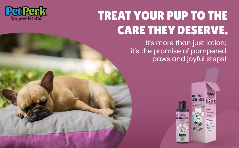 Anti-fungal Lotion for Paw Dog (100 ml / Piece)