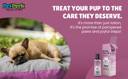 Anti-fungal Lotion for Paw Dog (100 ml / Piece)