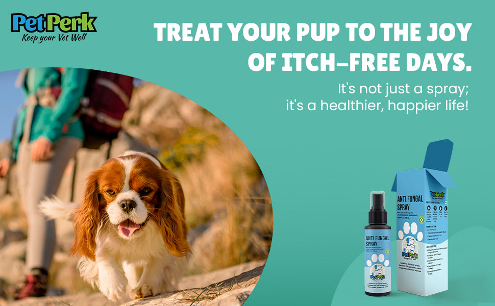 Anti-Fungal Spray for Dog (100 ml / Piece)