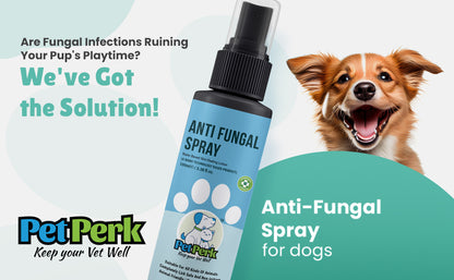 Anti-Fungal Spray for Dog (100 ml / Piece)