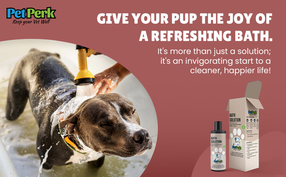 Bath Solution For Dogs | 100 ml, 1 Piece