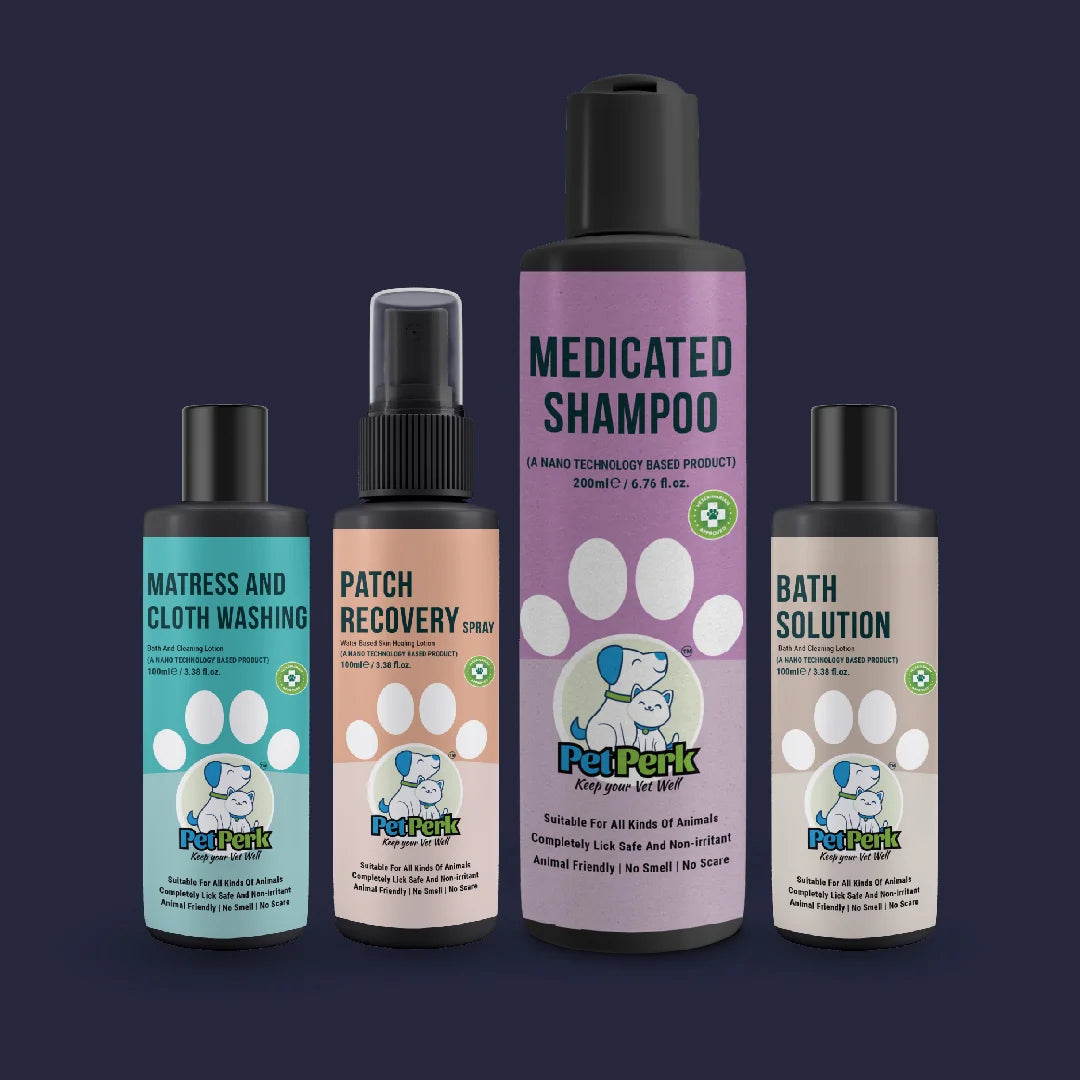 Patch Recovery Kit For Dogs – Pet Perk