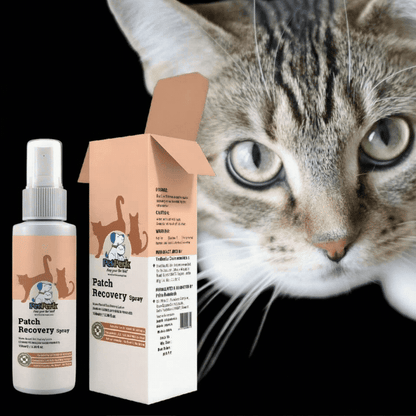 Patch Recovery Spray for Cat (100 ml / Piece)