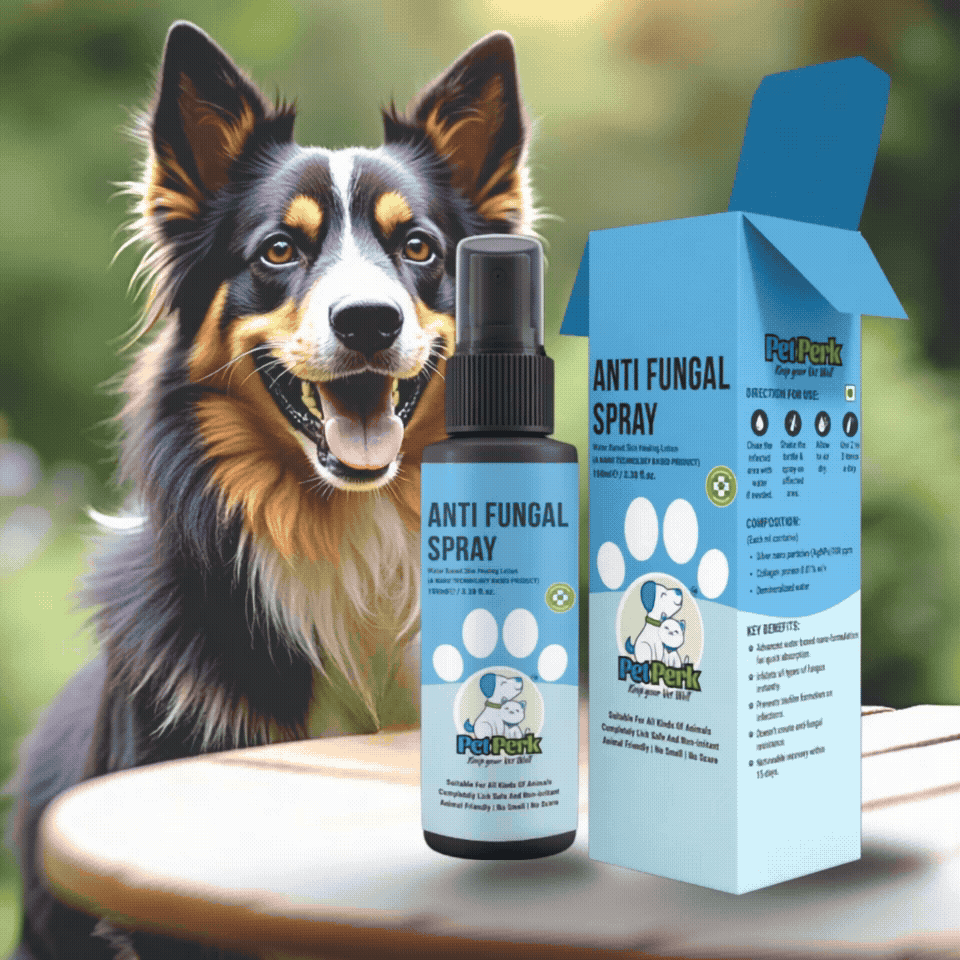 Anti-Fungal Spray for Dog