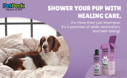 Medicated Shampoo For Dogs | 200 ml, 1 Piece