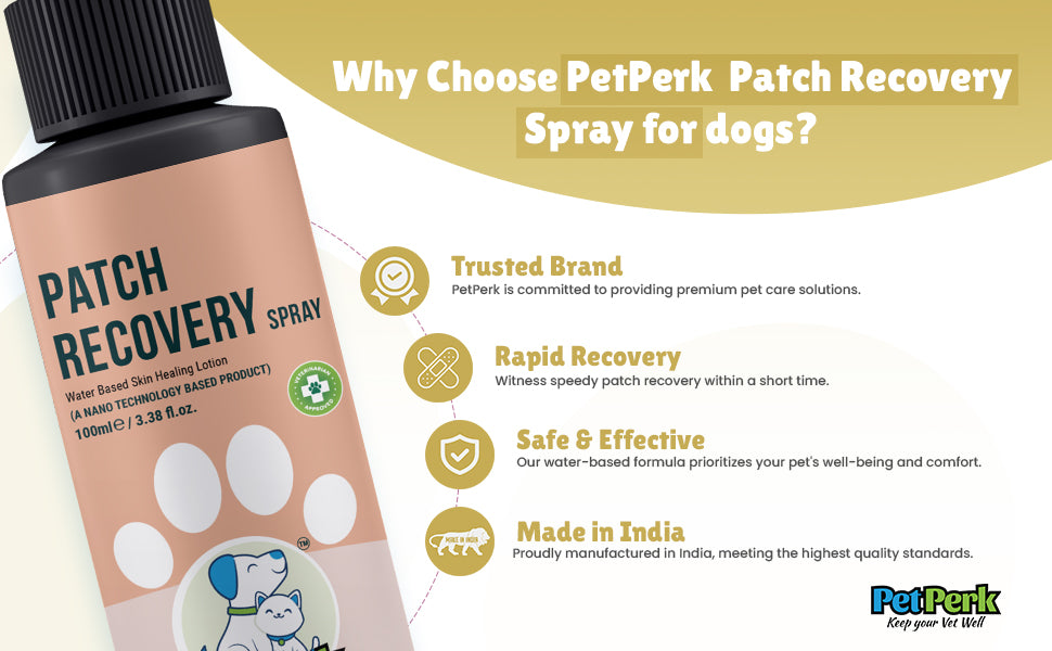 Patch Recovery Spray For Dogs | 100 ml, 1 Piece