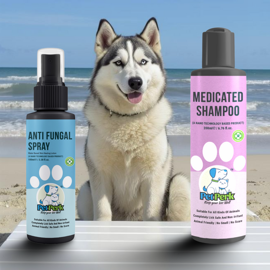 Derma Shield Kit