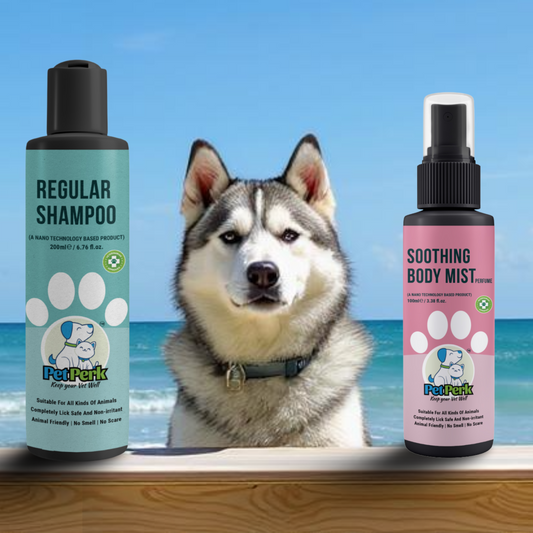 Dream Kit for Dogs