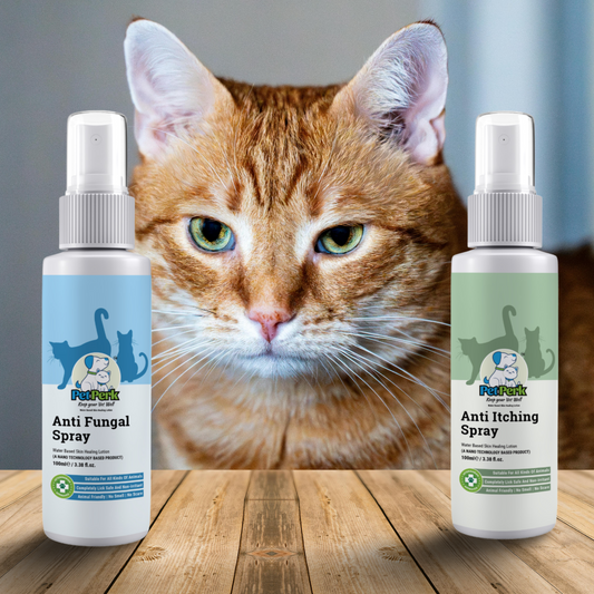 Happy Fur Rescue Kit