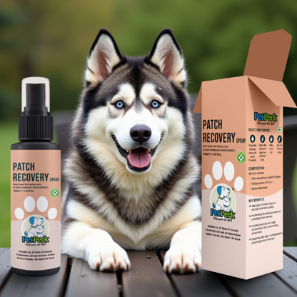 Patch Recovery Spray for Dog (100 ml / Piece)