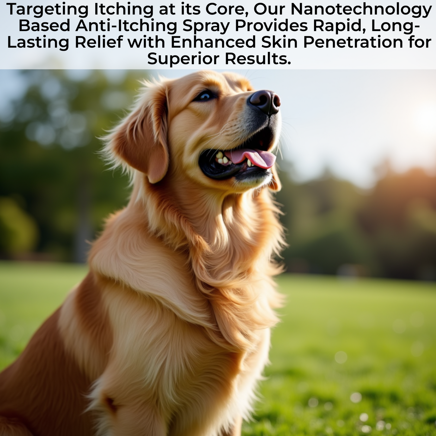 Anti-Itching Spray for Dog (100 ml / Piece)