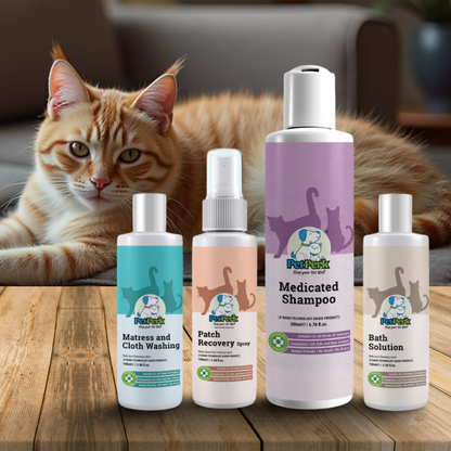 Patch Recovery Kit For Cats