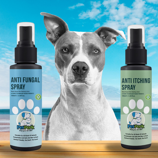 Skin Infection Relief Kit for Dogs