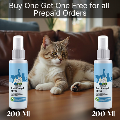 Anti-Fungal Spray for Cat