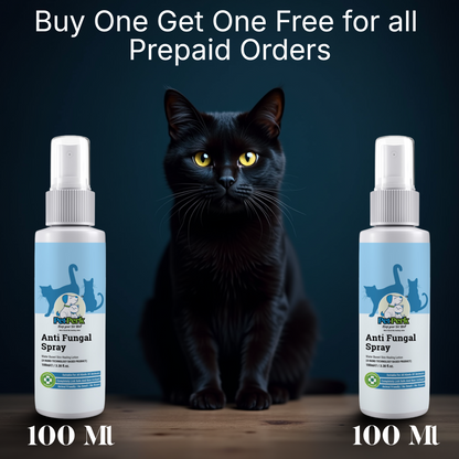 Anti-Fungal Spray for Cat