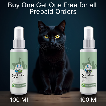Anti-Itching Spray for Cat