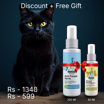 Anti-Fungal Spray for Cat