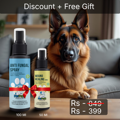 Anti-Fungal Spray for Dog