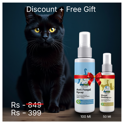 Anti-Fungal Spray for Cat