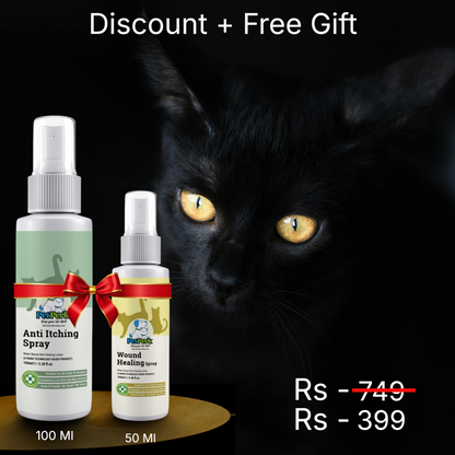 Anti-Itching Spray for Cat